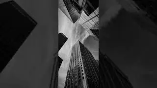 Photo Novel/foto novella