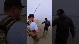 Nonstop Crabbing Action! Bodega Bay!