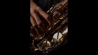 Nathan Bogert, saxophone; Michael Seregow, piano