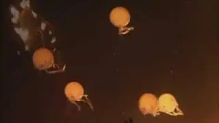 Invisible City Trailer - Speed Levitch at Burning Man!!