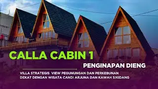 CALLA CABIN 1 ( Penginapan dieng view pekebunan dan pegunungan )