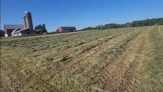 Chopping haylage! Filling silos!