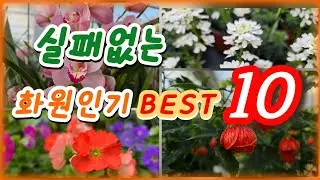 🌸 화원가기전 꼭 보세요 / 요즘 화원인기 꽃 BEST 10 🌸 #오보코니카앵초 #심비디움 등. #은혜화훼판매장 #플라워러브 