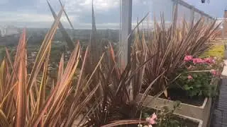 IMG 3288