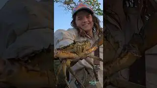 Crab Catcher #mudcrab #kids #fishing #trapping #crab #seafood #australia