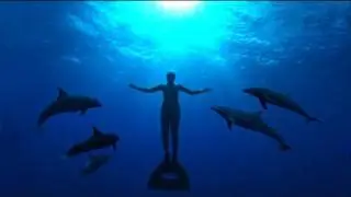 The Cove movie review by Kenneth Turan