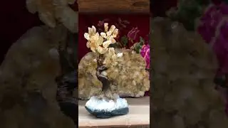 Citrine trees 🌳💎