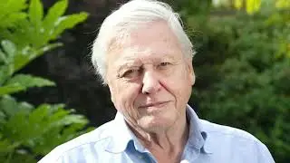 Ben Nickless UK Impressionist Voice Reel 2021