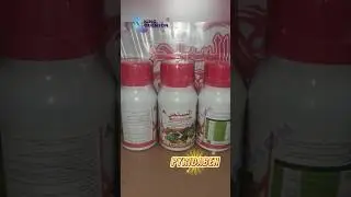 Pyridaben，Selective Contact Insecticide and Miticide, Effective Against Thrips, Aphids, Whiteflies
