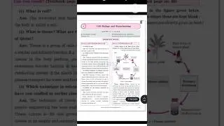 10th Std - Science 2 - Chapter 8 Cell biology and biotechnology answers/exercise - Class 10 #shorts