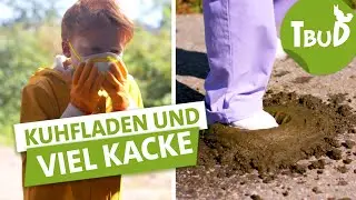 Die lustigsten Momente mit Kacke | Tiere bis unters Dach | SWR Plus