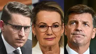 &lsquo;Immensely damaging&rsquo;: Liberals&rsquo; &lsquo;period of destabilisation&rsquo; cannot continue