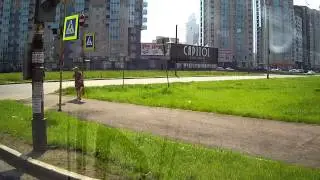 2014-08-16 Тюлень