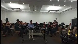 Vivaldi A minor Violin concerto - Xylophone soloist: Lucas Tomás Riera (8 years old) July 2024.