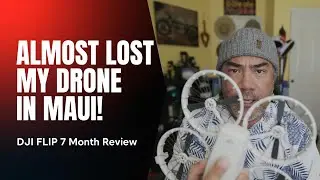 Almost lost the FLIP in Maui!  7 Month Review