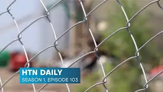 HTN Daily: Season 1, Episode 103