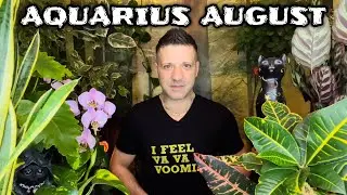 AQUARIUS August 2022 ⭐️ IT'S TIME TO ANSWER THE CALL! THE TIME IS ABSOLUTELY NOW - Horoscope Tarot