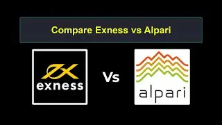 Compare Exness with Alpari - Which is better? Which broker to choose?