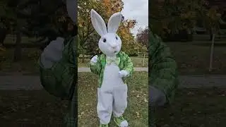 Mascot costume of Easter rabbit Alister #bunnymascot #easter #partycostume #easterbunny