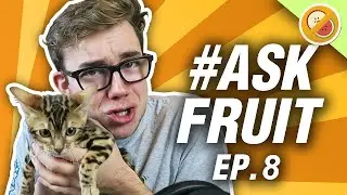 700,000 Subscribers! MEETING BAE, 1 MAN 1 JAR, HAPPINESS! | #AskFruit Ep. 8 (NEW T-Shirt)