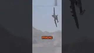 A-10 Thunderbolt II: The Brutal Warthog That Dominates the Skies