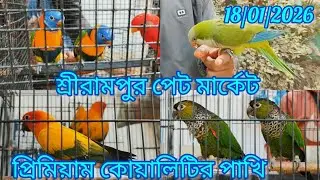 Exotic Pet Market in Shrirampur 🦜 Recent Birds Price Update 🦜18/01/2026. প্রিমিয়াম কোয়ালিটির পাখি🐦