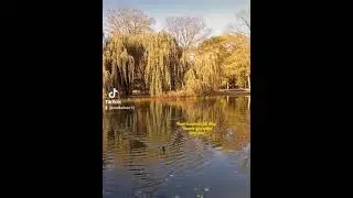 Ebert-Park, Ludwigshafen, Alemanha!