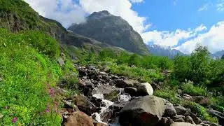 Small Stream with gentle sound of running water (10 hrs)