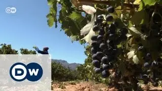 South Africa's plant paradise | Global Ideas