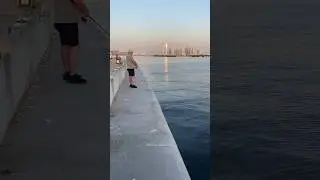 Secret Fishing Spot at Dubai #FishingSpotInDubai