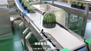 The Zhucheng Xindesheng radial non-destructive sorting machine is specifically designed 