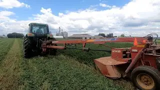 2nd Cutting Alfalfa Harvest