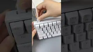 BOW G68S Wired Mechanical Keyboard 68 Keys ABS Hot swappable Mixed light Detachable Type C Wired G