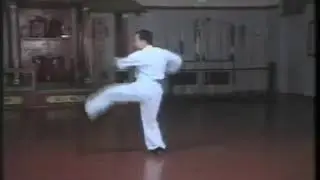 Bak Sil Lum Northern Shaolin   Mo I Shaolin 5 Sample #47