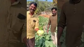 കൃഷി ഇഷ്ടപ്പെടുന്നവർക്ക് വേണ്ടി 