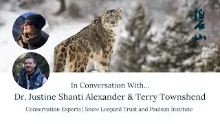 WildChina On-Air | Snow Leopard Conservation in China