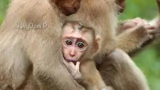 Fortunately! baby Amanda have beautiful family all of them love her.