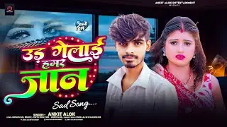 #video | उड़ गेलाई हमर जान | #ankit alok | #sadsong #viral song #saweta sargam #maghi #lagankegeet 