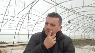 Este util solarul în grădină?Vezi în acest material câteva avantaje și dezavantaje!👇👇👇