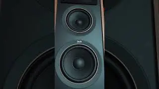 Какие динамики использовать? #vinyl #psb #audio