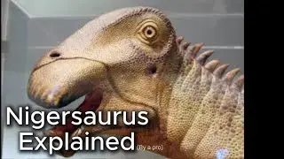 Nigersaurus Explained