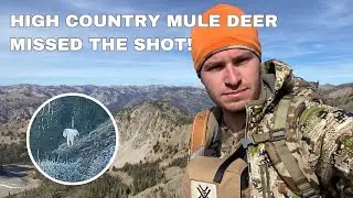 Idaho High Country Mule Deer Hunt - Missed The Shot! Bonus: Mountain Goat Spotted!
