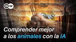 Avances en la conservaci&oacute;n animal gracias a la IA