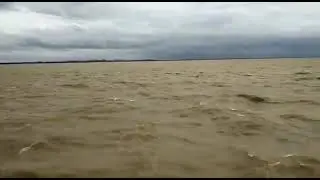 Bhadra Dam Latest Updates