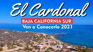 EL CARDONAL 🔴PLAYAS - HOTEL - RESTAURANTES PURA VIDA 🌴🌵 EN BAJA CALIFORNIA SUR MEXICO