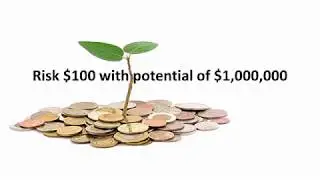 Dynasty Wealth $100 to $1000
