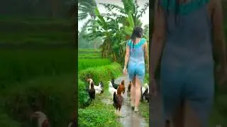 Dancing in the Rain with Chickens 🐓💃🌧️ #VillageVibes #RainyDay