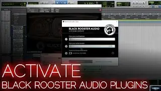 Как активировать аудиоплагины Black Rooster (менеджер лицензий)