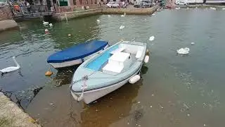 A trip to Emsworth -  July 2025