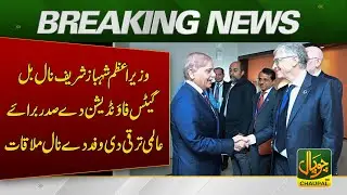 PM Shahbaz Sharif meets Bill & Melinda Gates Foundation delegation | CHAUPAL